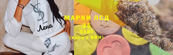 гашик Верея