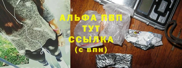 гашик Верея