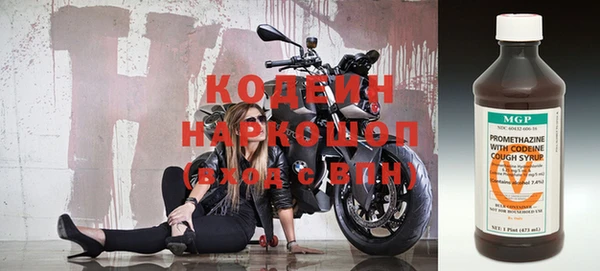 гашик Верея