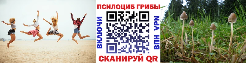 omg зеркало  Городец  Галлюциногенные грибы Cubensis  закладка 