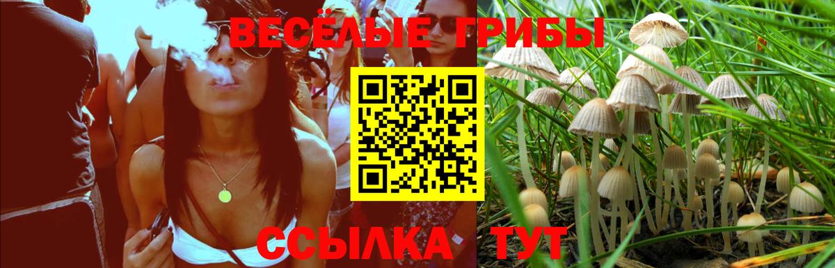 Городец  Псилоцибиновые грибы GOLDEN TEACHER  Вход с VPN  Псилоцибиновые грибы GOLDEN TEACHER 