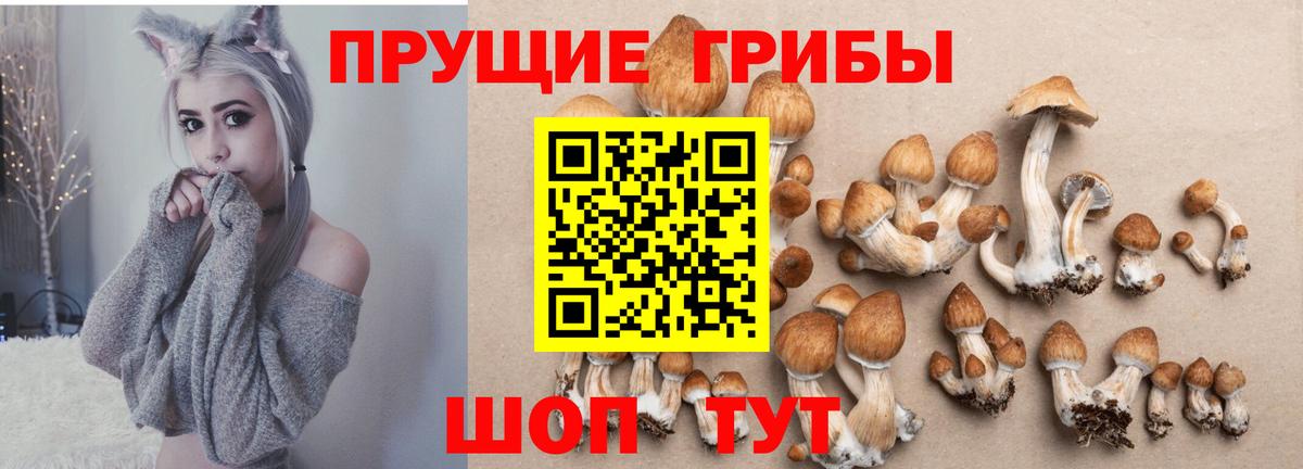 Галлюциногенные грибы мицелий Городец